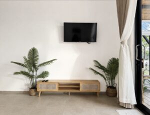 Television above a low media unit framed by indoor palms and curtains.