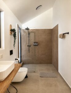 Bathroom with a countertop basin, toilet and walk-in shower.