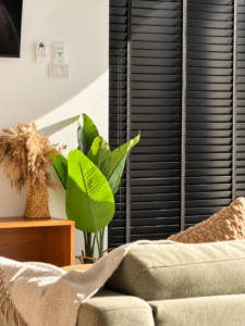 Sofa cushions and indoor plants beside dark window shutters.