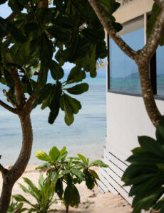 Frangipani branches framing a view of the sea beside the villa.