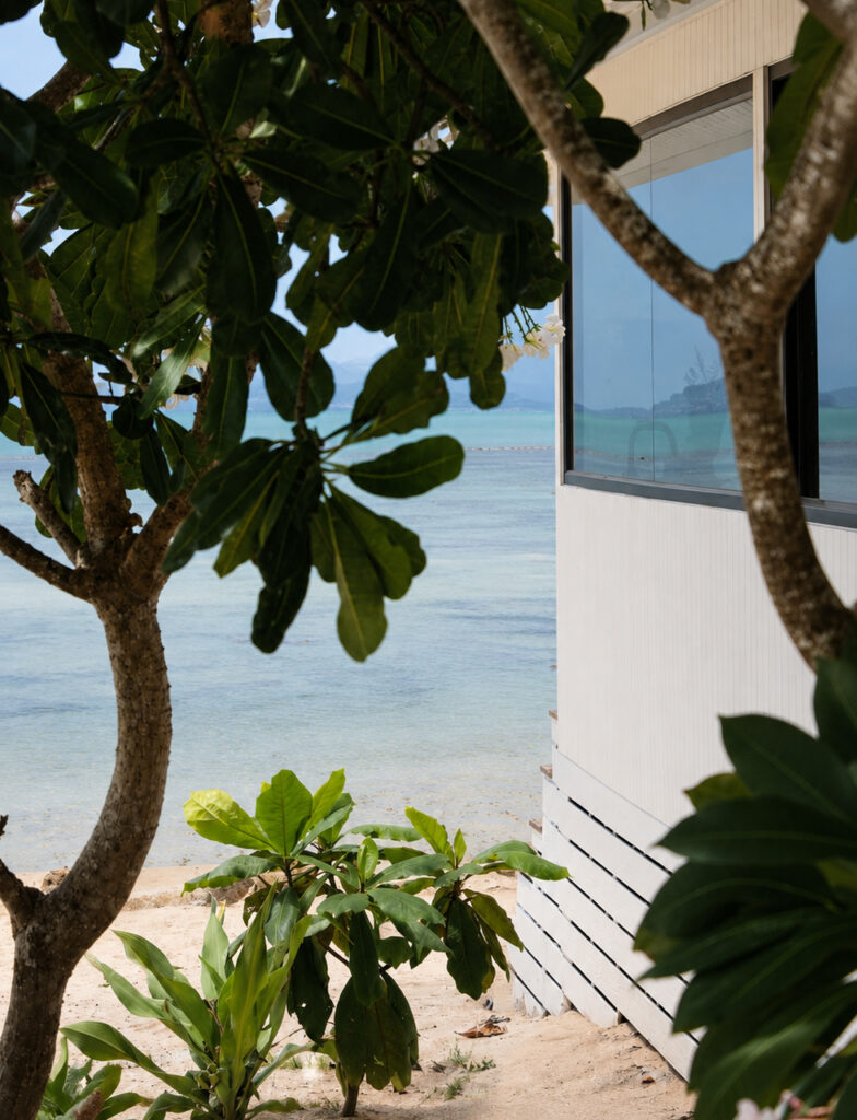 Frangipani branches framing a view of the sea beside the villa.