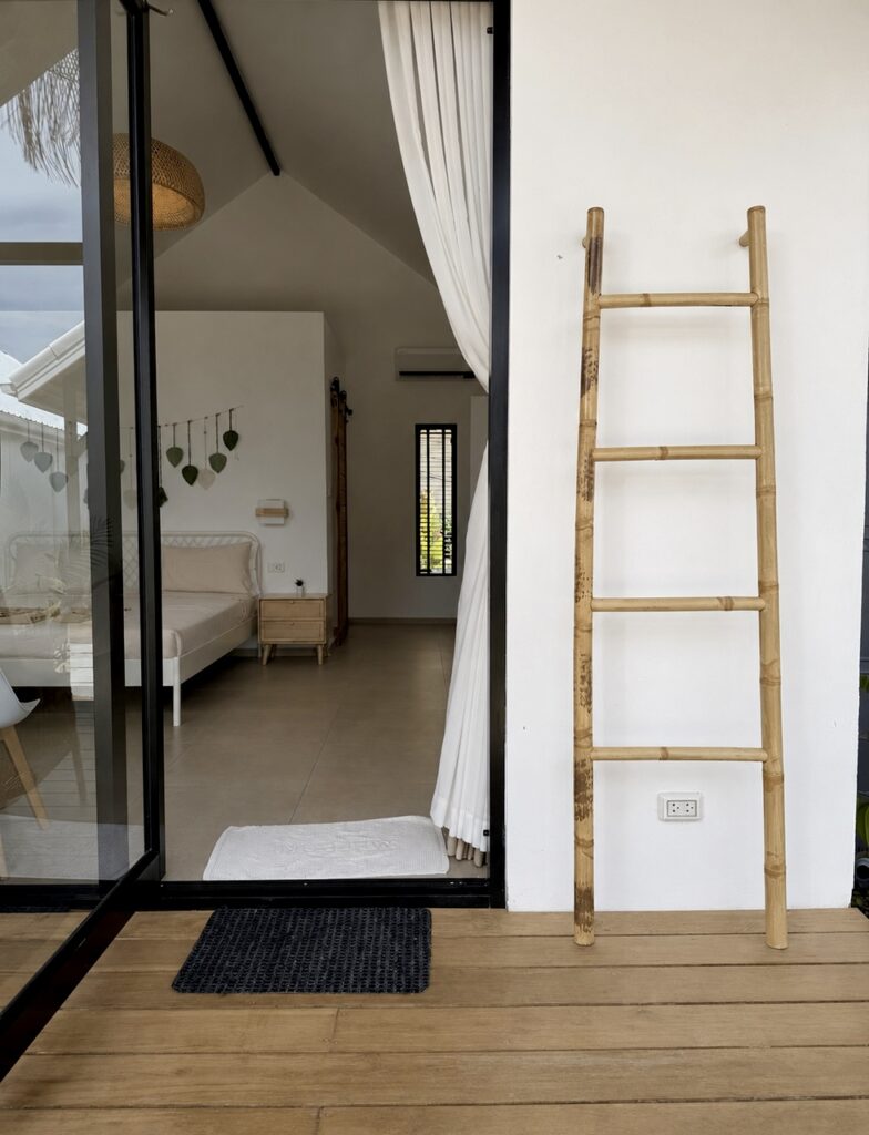 Decorative wooden ladder beside the glass entrance and wooden deck.