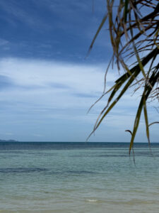 Sea and horizon framed by palm leaves at the top of the image.