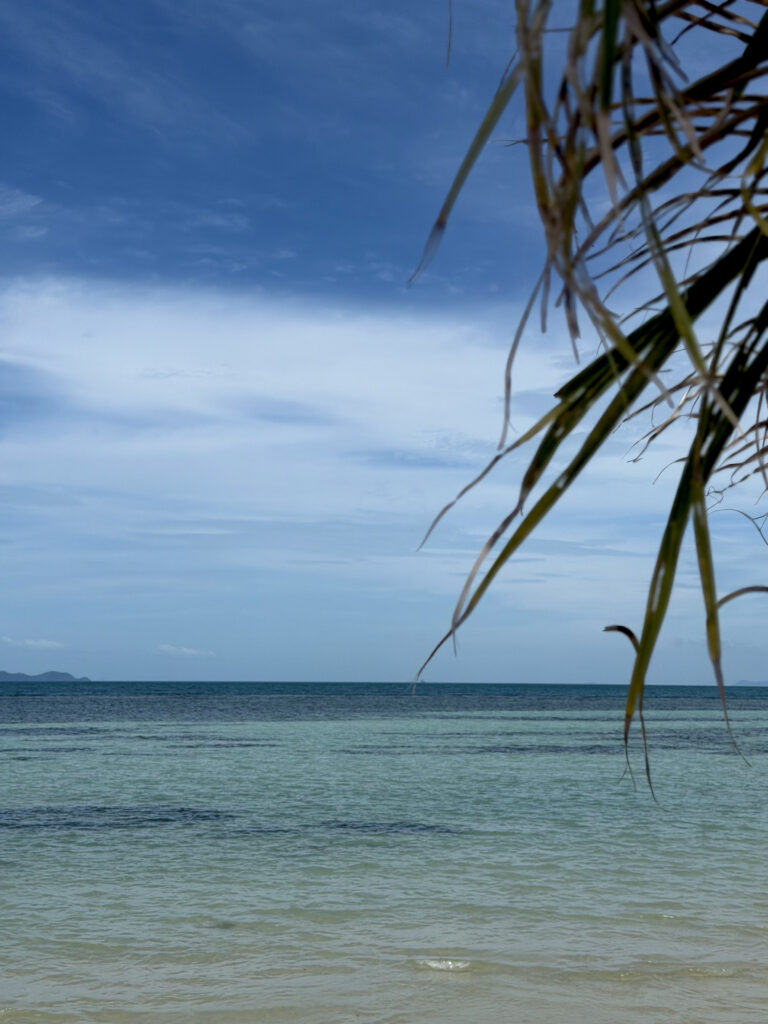 Sea and horizon framed by palm leaves at the top of the image.
