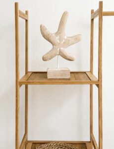 Decorative starfish on the wooden clothes rack shelf.