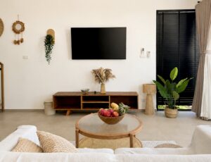 Television, woven wall decor and indoor plants viewed from the sofa.